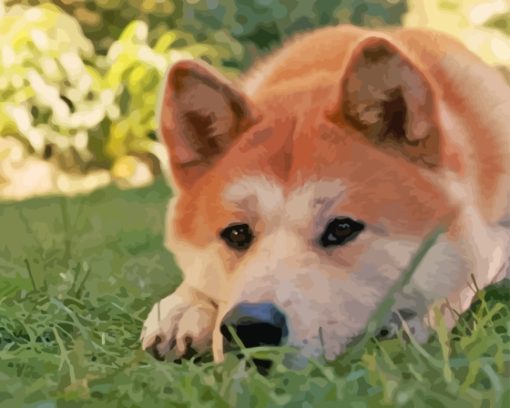 Hachiko Dog Diamond Painting