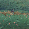 Hasui Kawase Diamond Painting