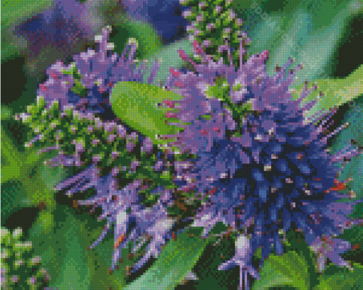 Hebe Plants Diamond Painting