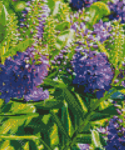 Hebe Plants Flowers Diamond Painting