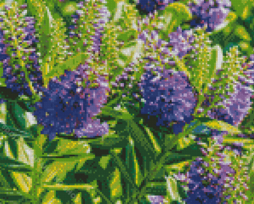 Hebe Plants Flowers Diamond Painting