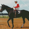 Horse Ruffian Diamond Painting