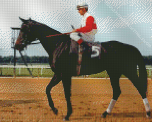 Horse Ruffian Diamond Painting