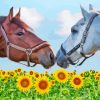 Horses In Sunflowers Diamond Painting