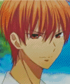 Kyo Sohma Diamond Painting