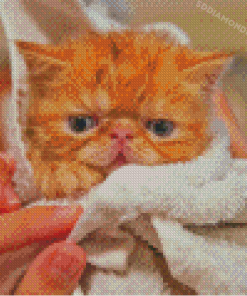 Little Cat After Shower Diamond Painting