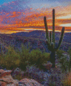 McCown Desert Diamond Painting