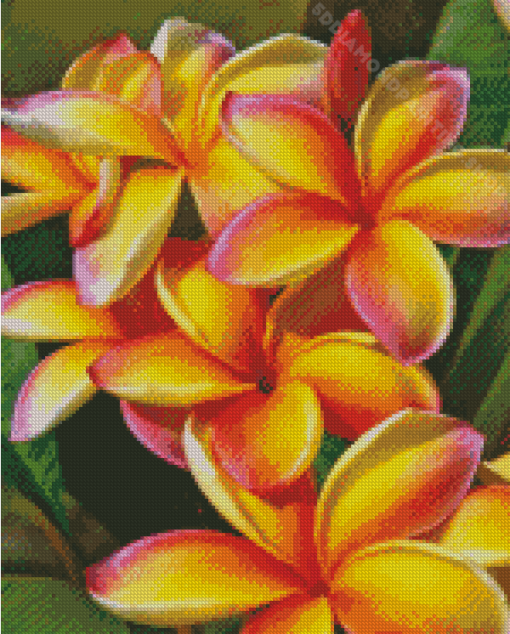 Orange Plumerias Diamond Painting