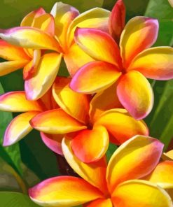 Orange Plumerias Diamond Painting