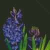 Purple Plant Hyacinth Diamond Painting