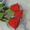 Red Roses Flowers Snow Scenery Diamond Painting