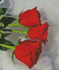 Red Roses Flowers Snow Scenery Diamond Painting