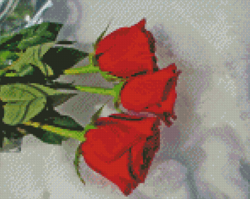 Red Roses Flowers Snow Scenery Diamond Painting