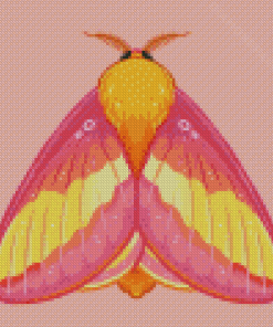 Rosy Maple Moth Art Diamond Painting