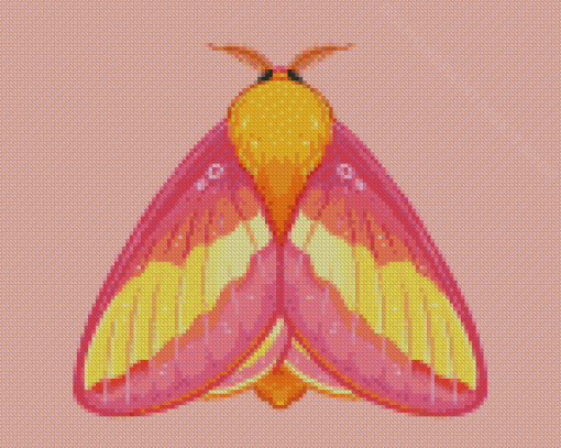 Rosy Maple Moth Art Diamond Painting