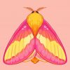 Rosy Maple Moth Art Diamond Painting