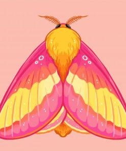 Rosy Maple Moth Art Diamond Painting