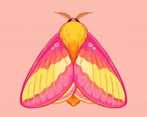 Rosy Maple Moth Art Diamond Painting