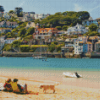 Salcombe Town In England Diamond Painting