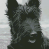 Scottish Terrier Black Dog Diamond Painting