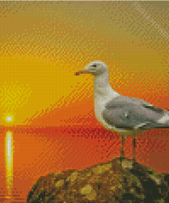 Seagull Bird And The Sun Diamond Painting