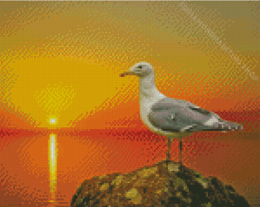 Seagull Bird And The Sun Diamond Painting