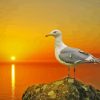 Seagull Bird And The Sun Diamond Painting