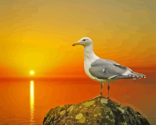 Seagull Bird And The Sun Diamond Painting