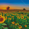 Sunflower Field Diamond Painting