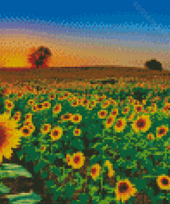 Sunflower Field Diamond Painting