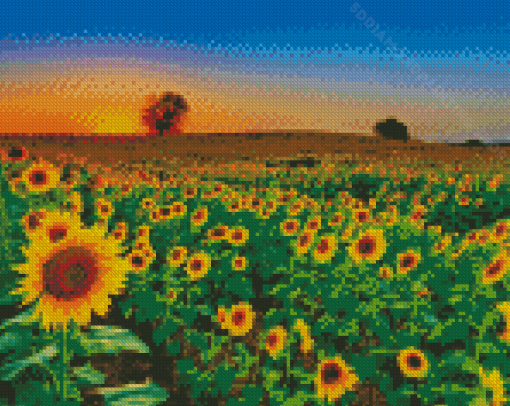 Sunflower Field Diamond Painting