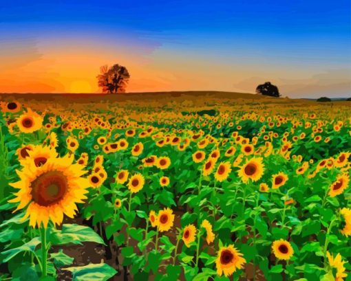 Sunflower Field Diamond Painting