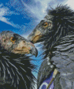 The Condor Birds Diamond Painting