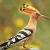 The Hoopoe Diamond Painting