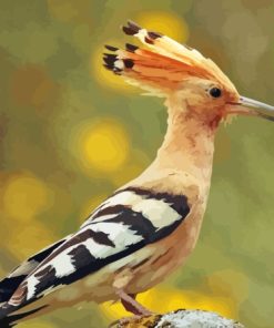 The Hoopoe Diamond Painting