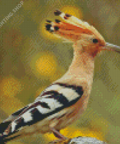 The Hoopoe Diamond Painting