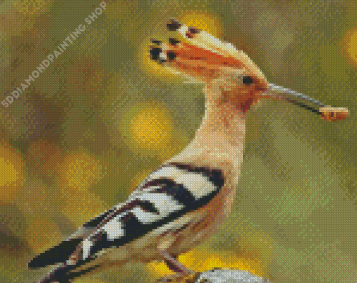 The Hoopoe Diamond Painting