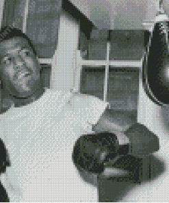 The Legend Sugar Ray Robinson Diamond Painting