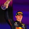 The Race Car Driver Max Verstappen Diamond Painting