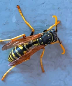 The Yellow Jacket Wasp Diamond Painting