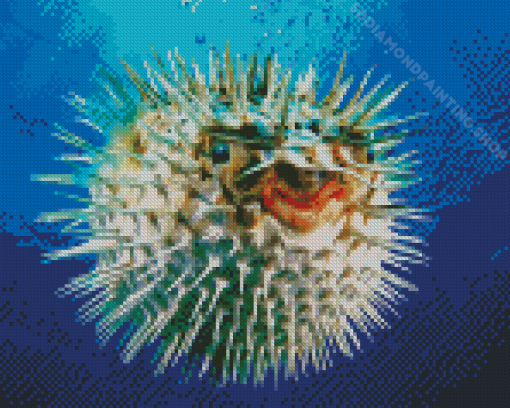 Tropical Puffer Fish Diamond Painting