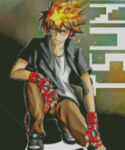 Tsunayoshi Sawada Reborn Anime Diamond Painting