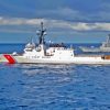 United States Coast Guard Ship In The Sea Diamond Painting