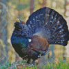 Western Capercaillie Bird Diamond Painting