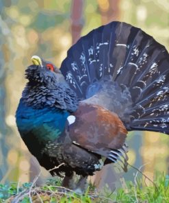 Western Capercaillie Bird Diamond Painting