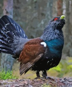 Western Capercaillie On Branch Diamond Painting