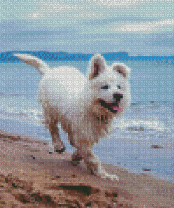 White Dog At Beach Diamond Painting