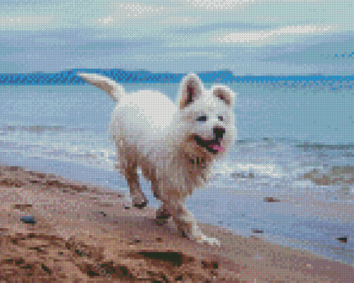 White Dog At Beach Diamond Painting