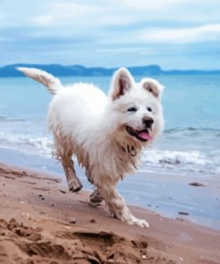 White Dog At Beach Diamond Painting