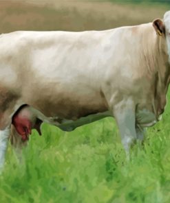 White Simmental Cattle Diamond Painting